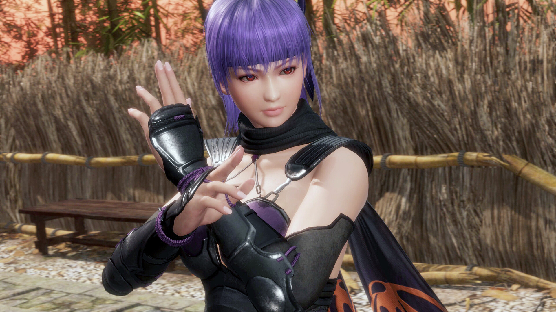 Dead or Alive 6: Last Round
