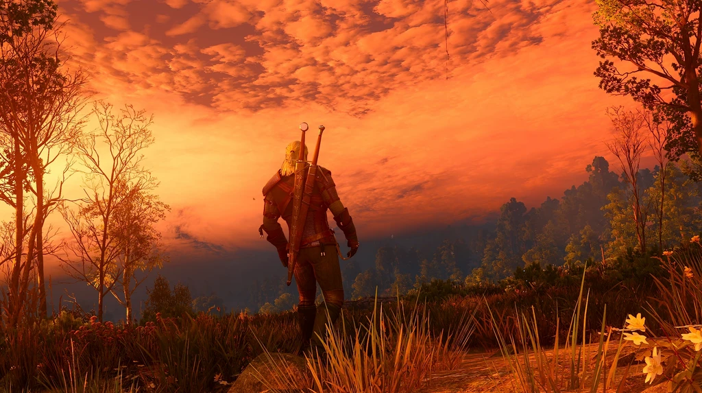 Geralt med två svärd på ryggen står med ryggen mot oss i ett landskap av gräs och blommor och blickar mot en eldröd solnedgång under molnig himmel i The Witcher 3: Wild Hunt Remastered.